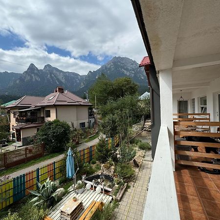 Casa David Hotel Szászbuda Kültér fotó