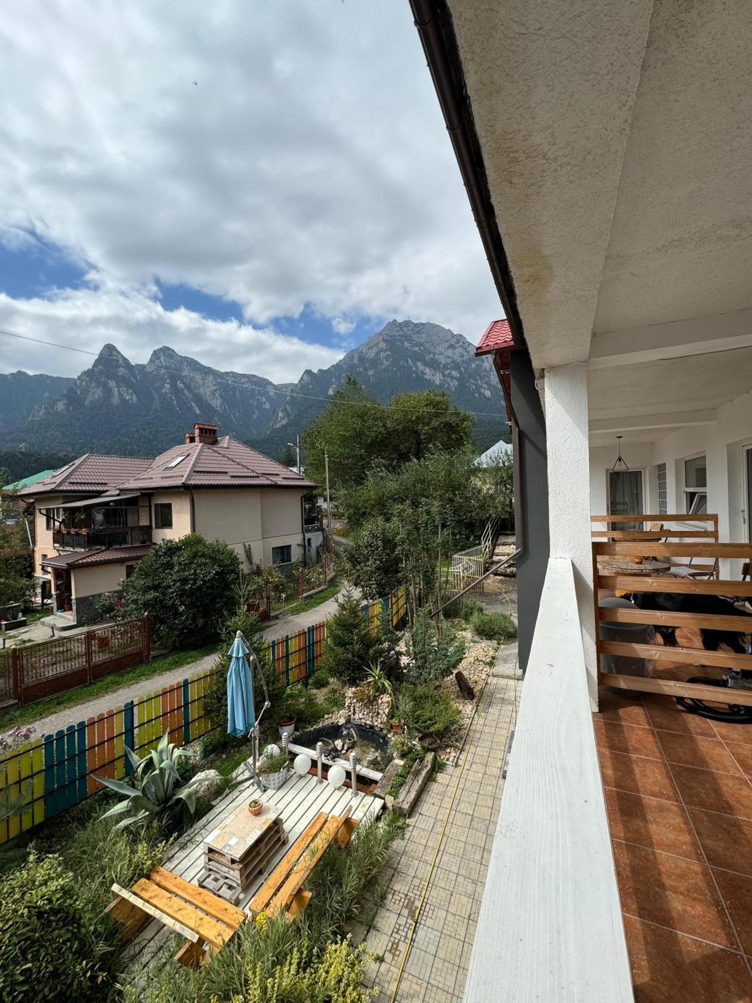 Casa David Hotel Szászbuda Kültér fotó