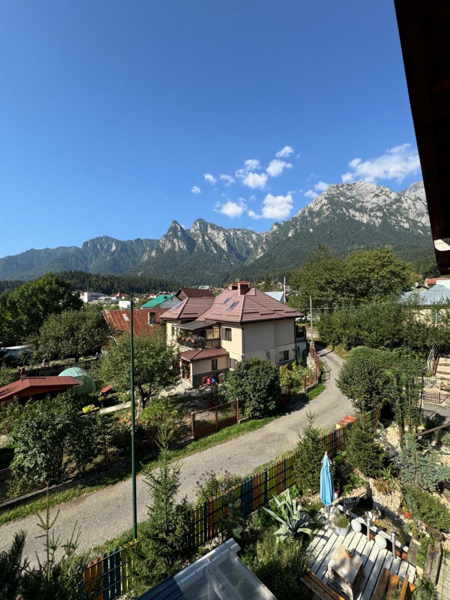 Casa David Hotel Szászbuda Kültér fotó