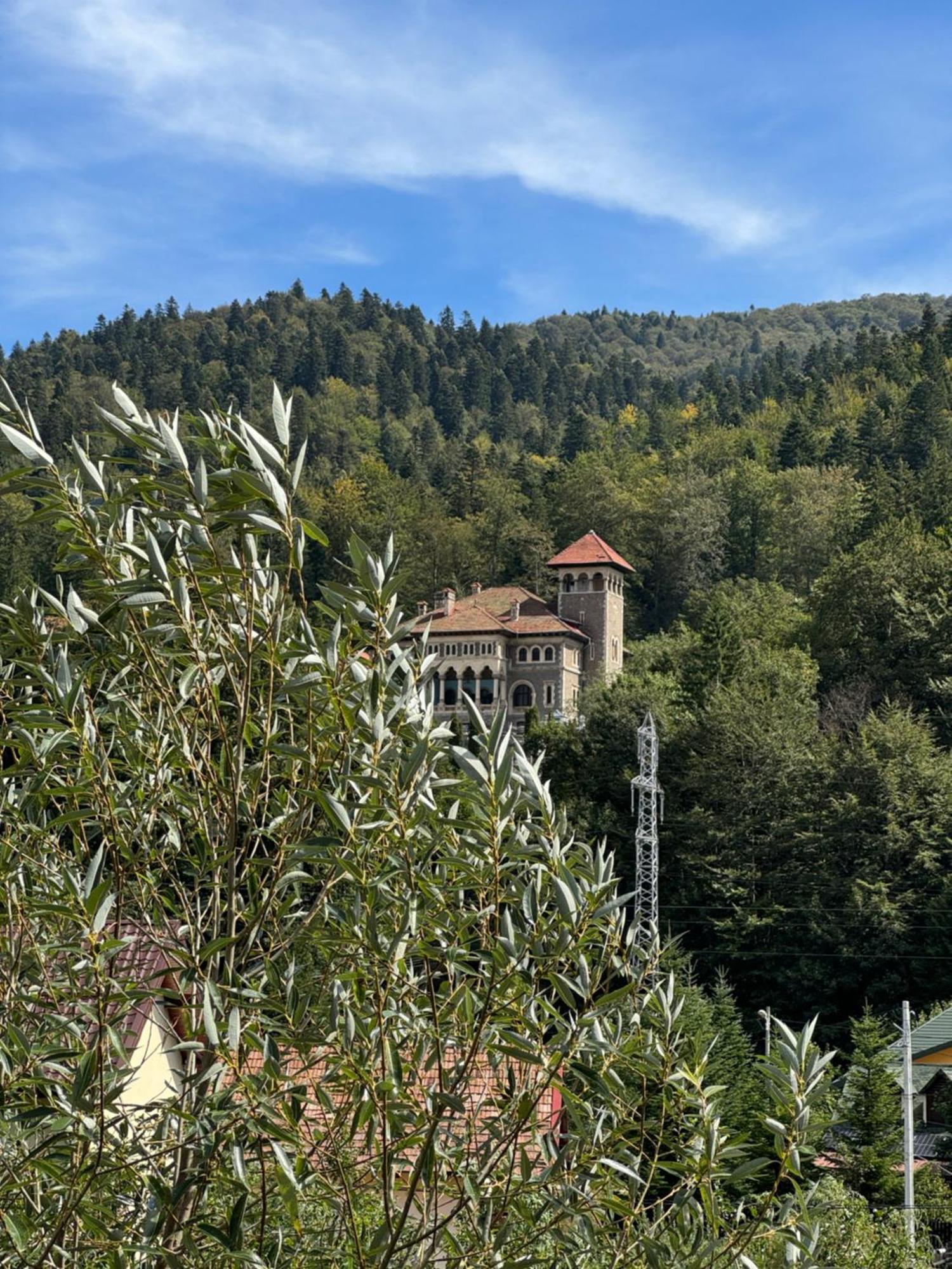Casa David Hotel Szászbuda Kültér fotó