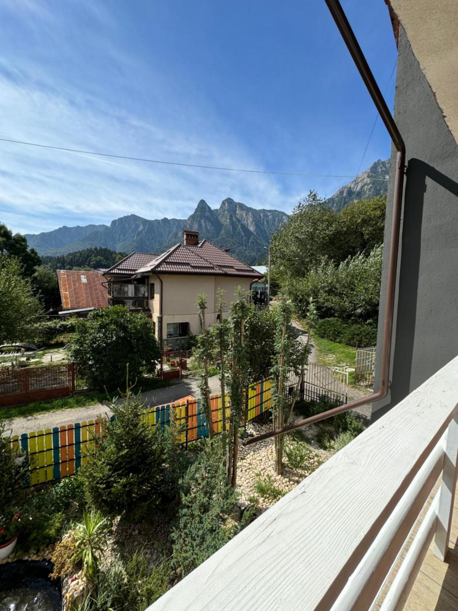 Casa David Hotel Szászbuda Kültér fotó