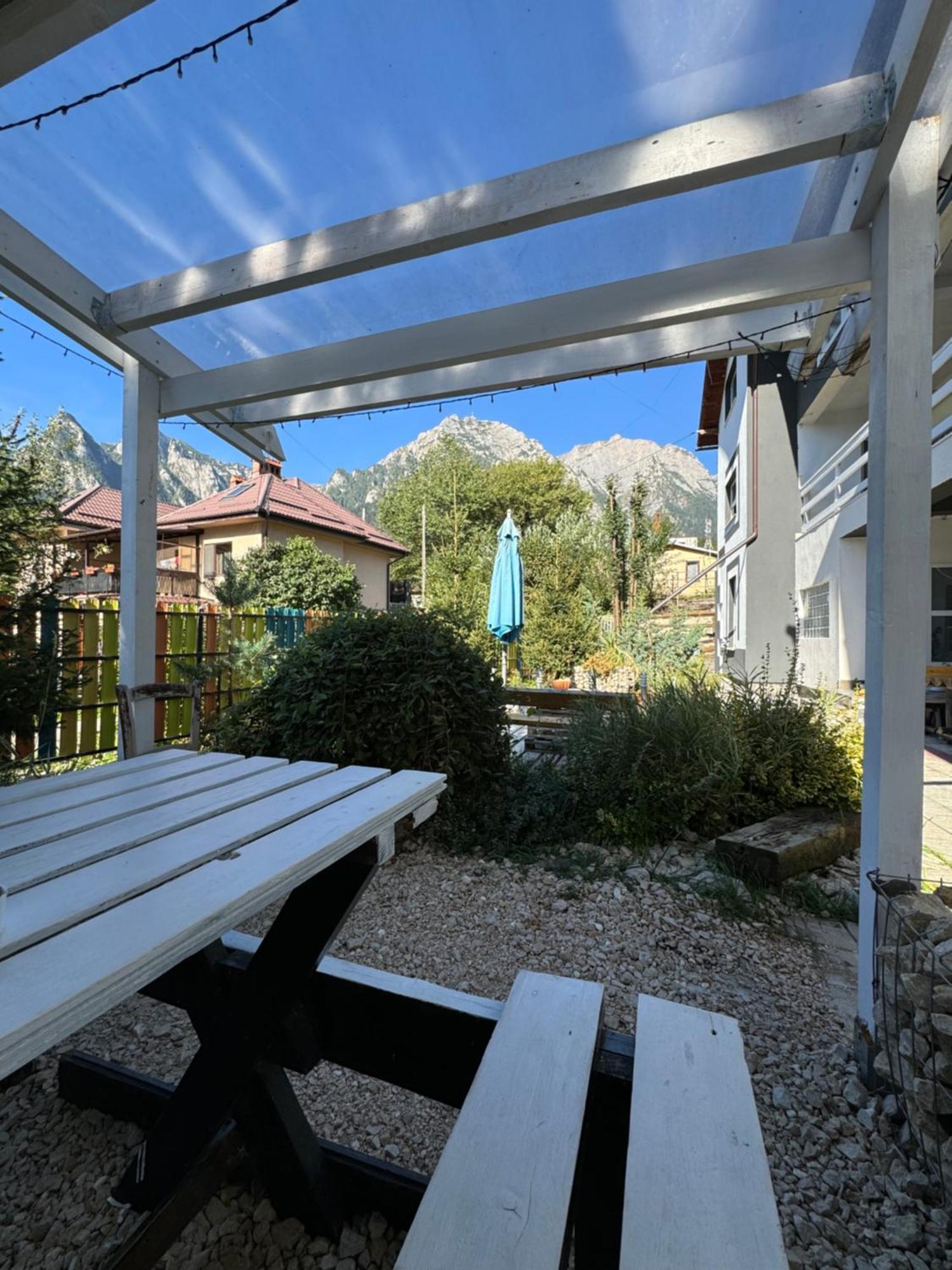 Casa David Hotel Szászbuda Kültér fotó