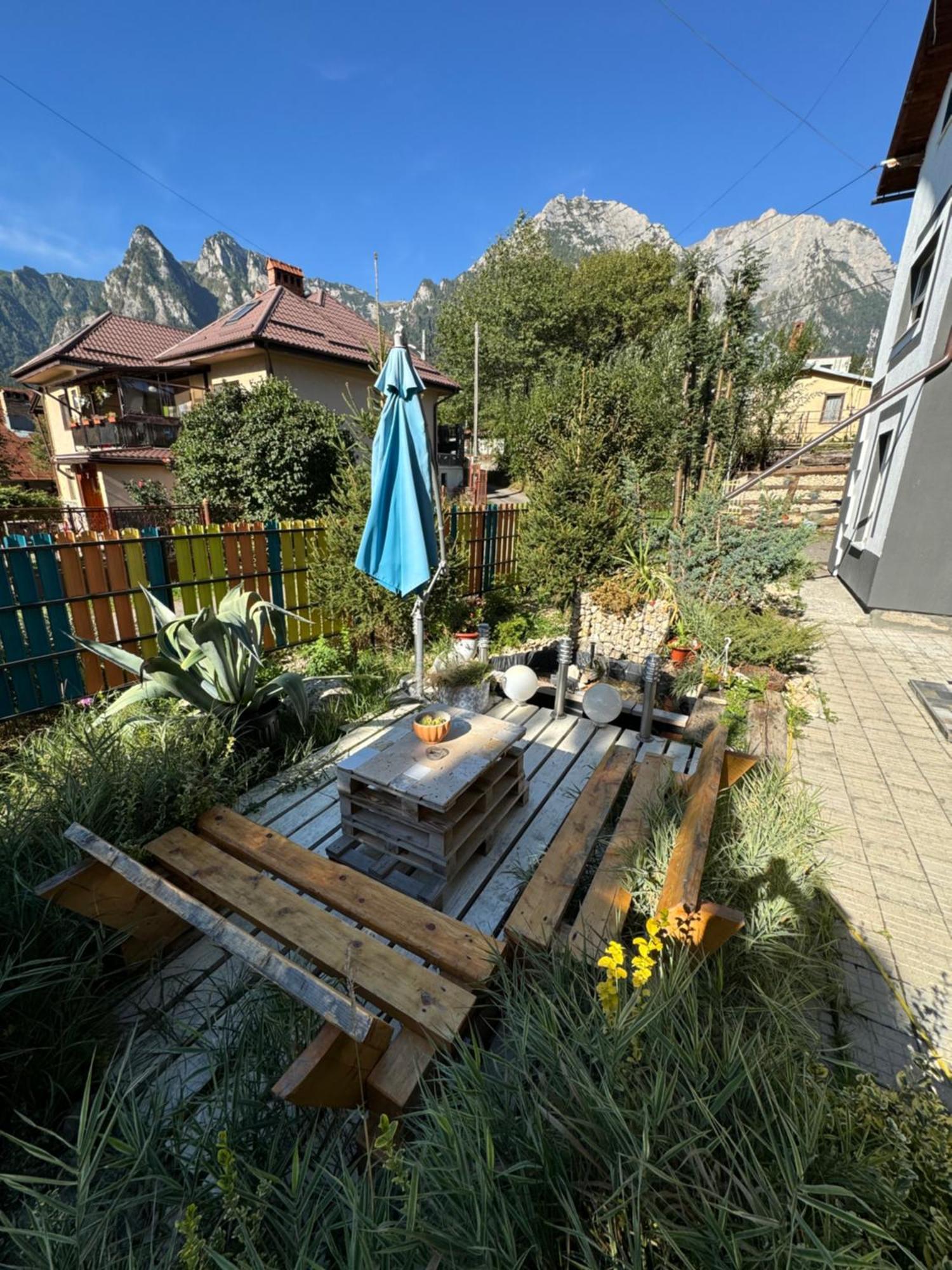 Casa David Hotel Szászbuda Kültér fotó