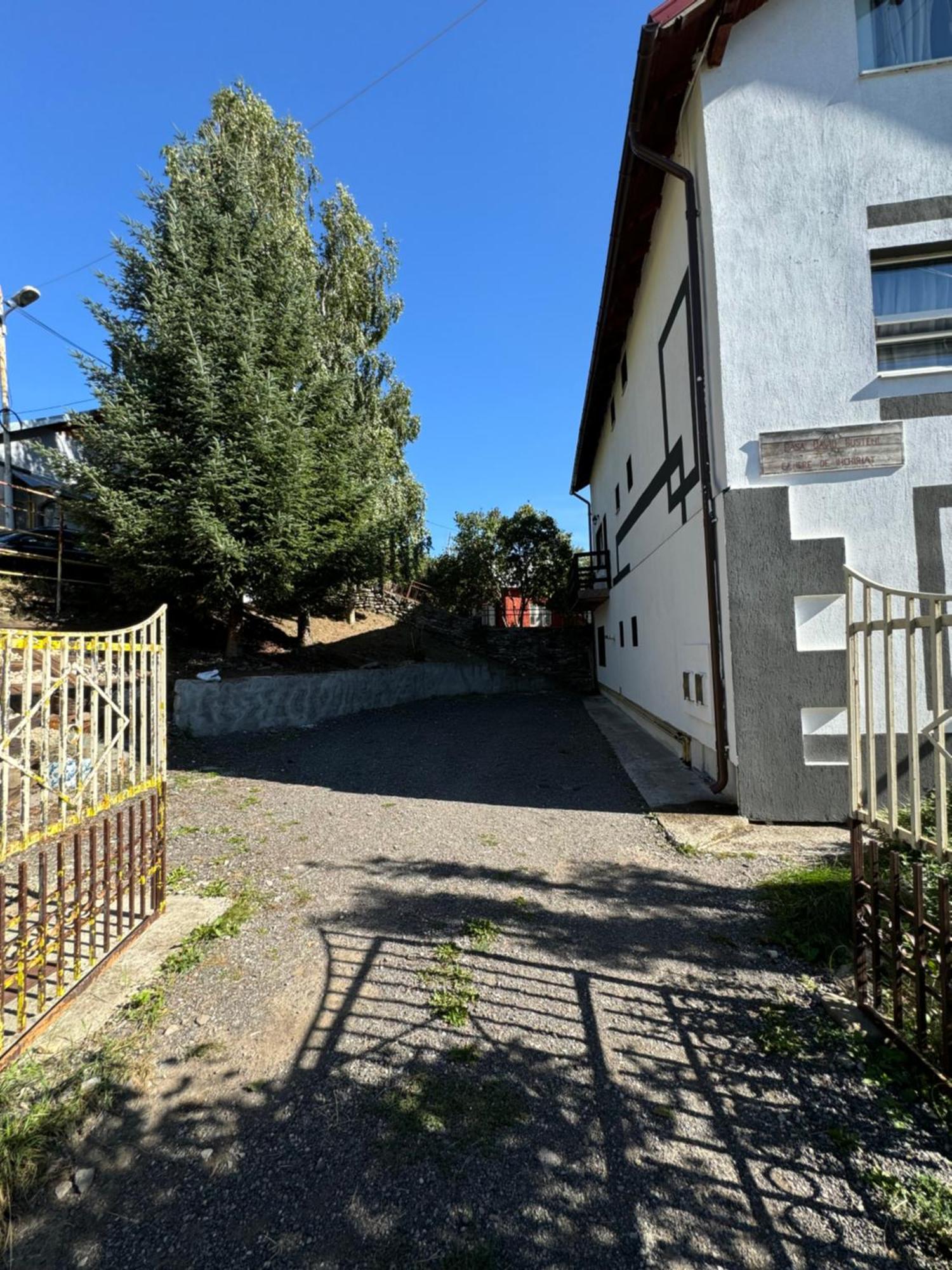 Casa David Hotel Szászbuda Kültér fotó